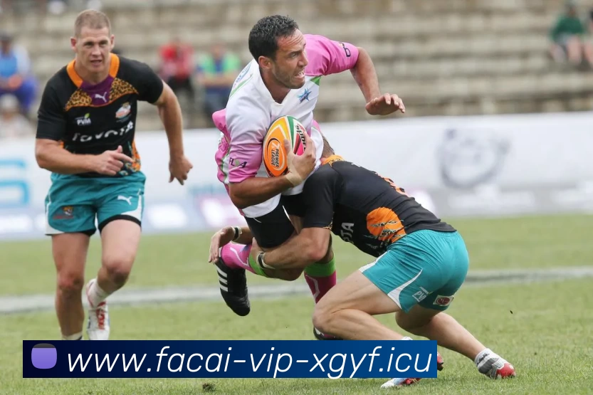 乐鱼体育注册品牌故事